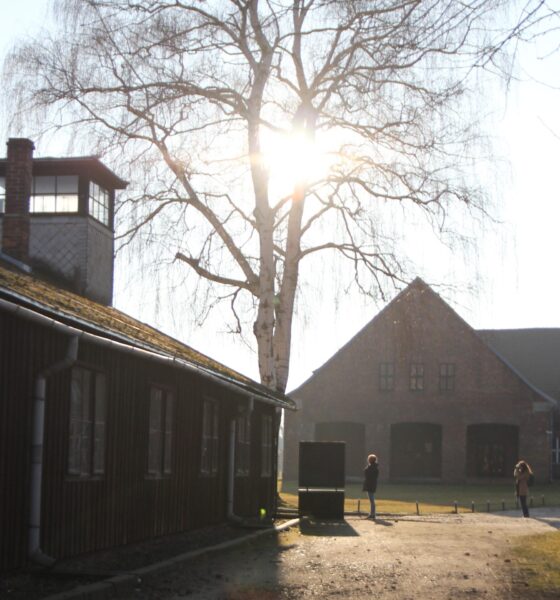 Auschwitz – Past & Present