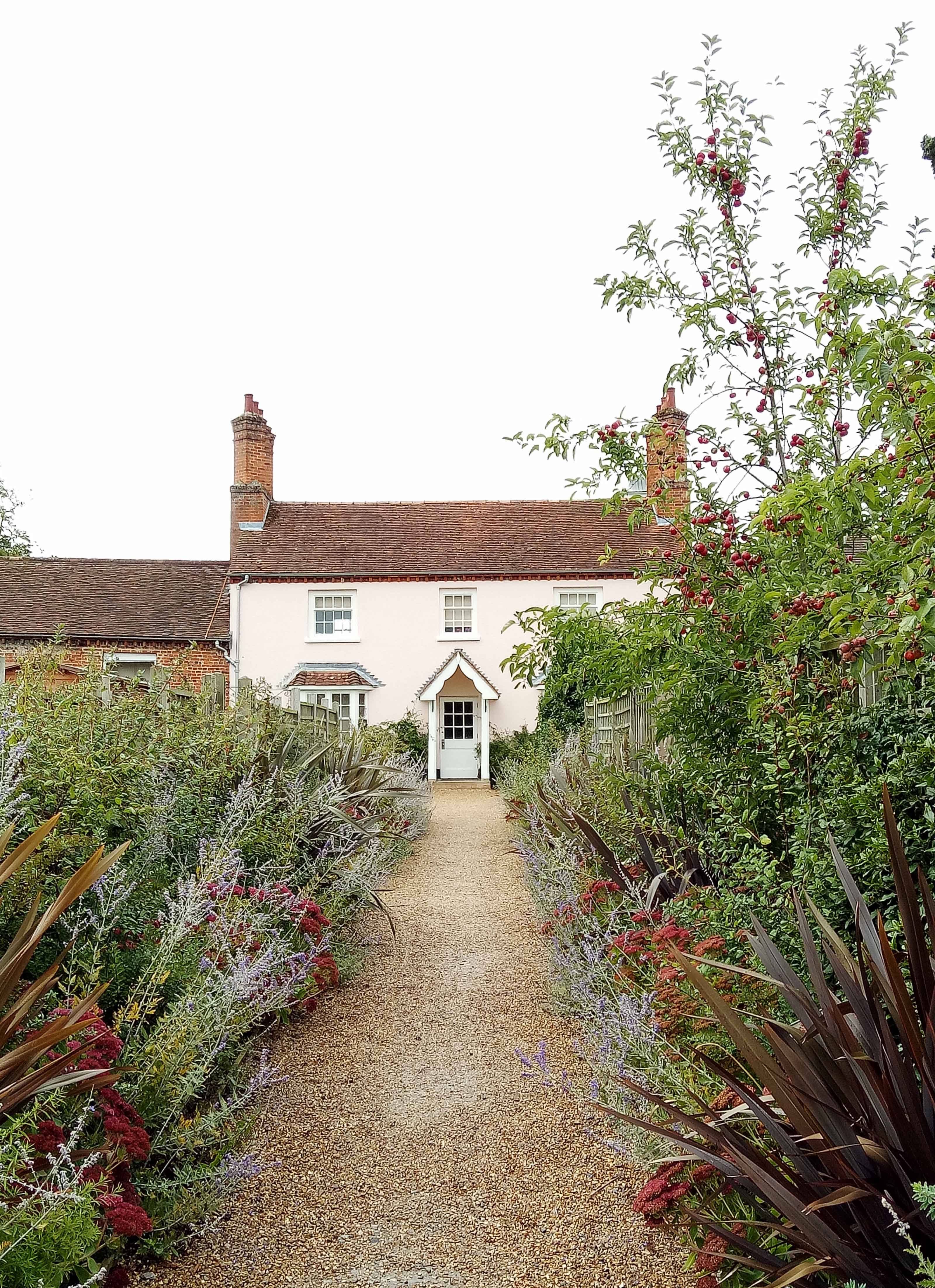 Lavender at Four Seasons Hampshire