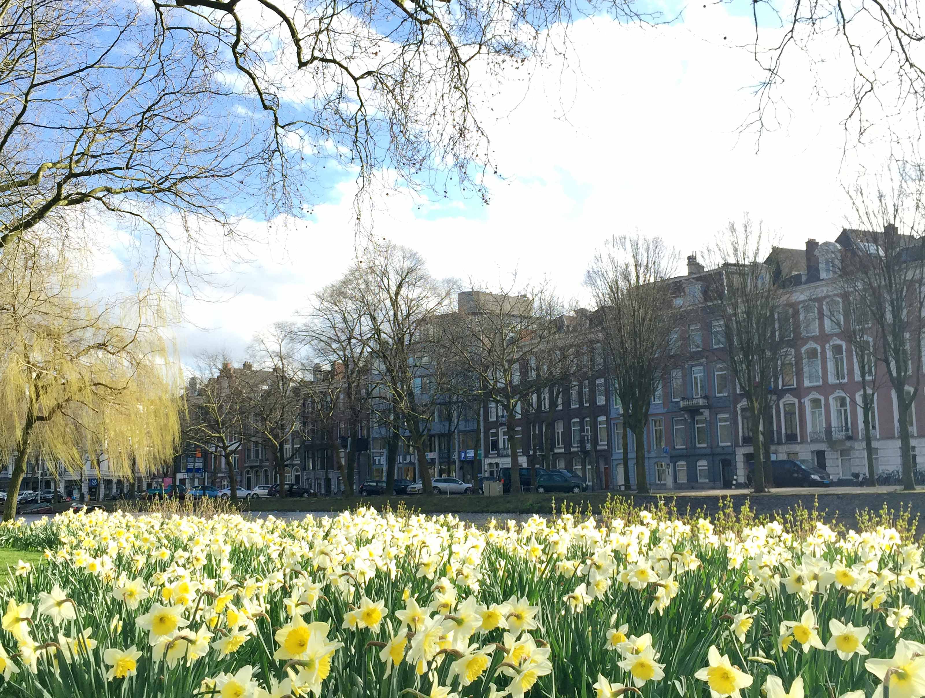 Amsterdam - Weteringplantsoen