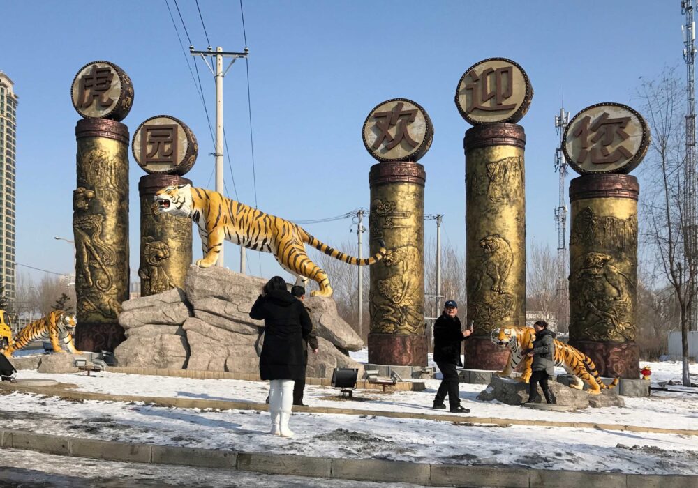 Siberian Tiger Park