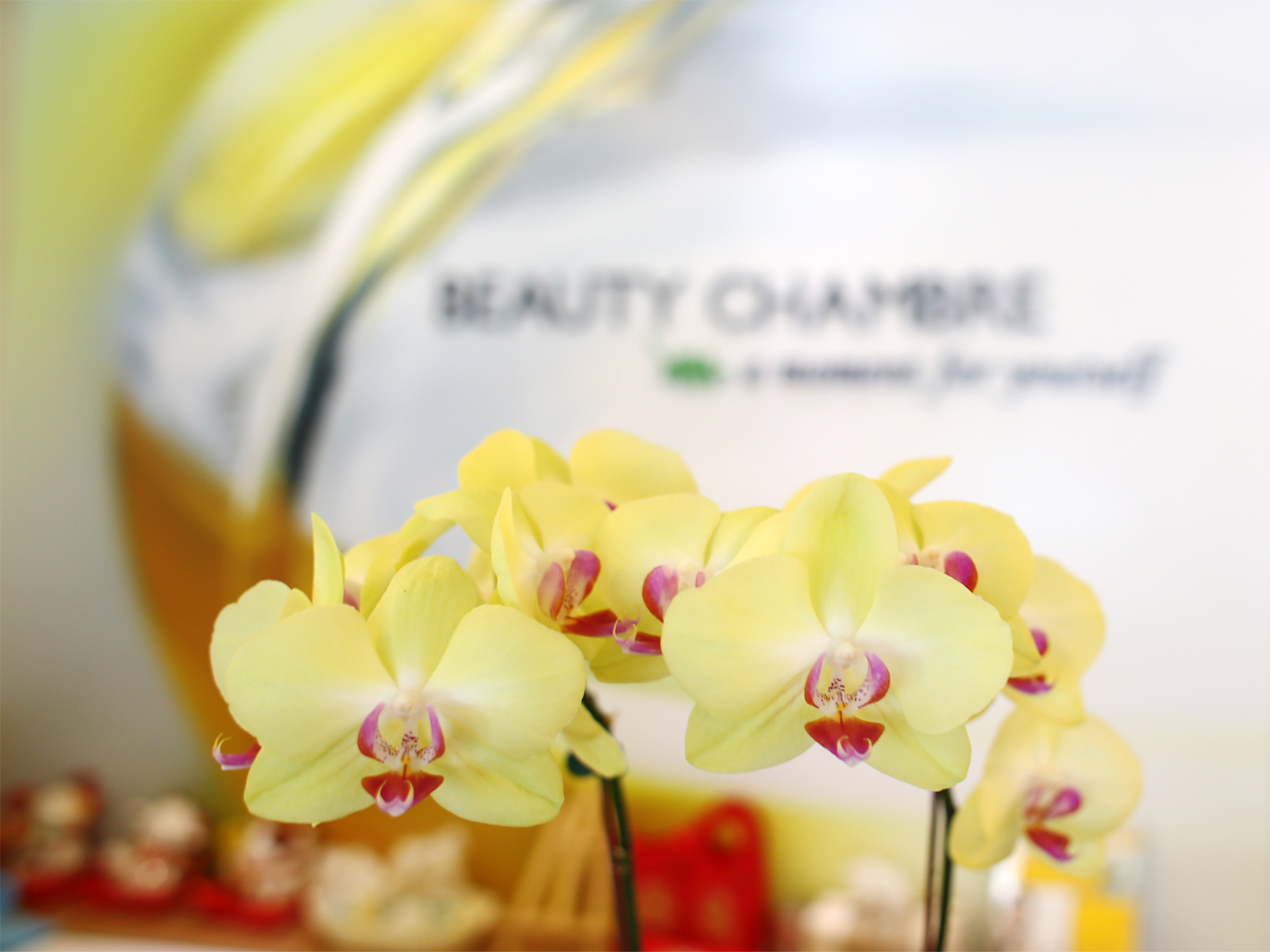 A Day Of Pampering At Beauty Chambre