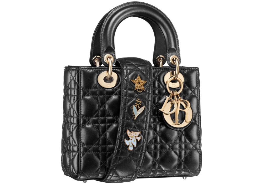 Dior Fall17 Bag - My Lady Dior