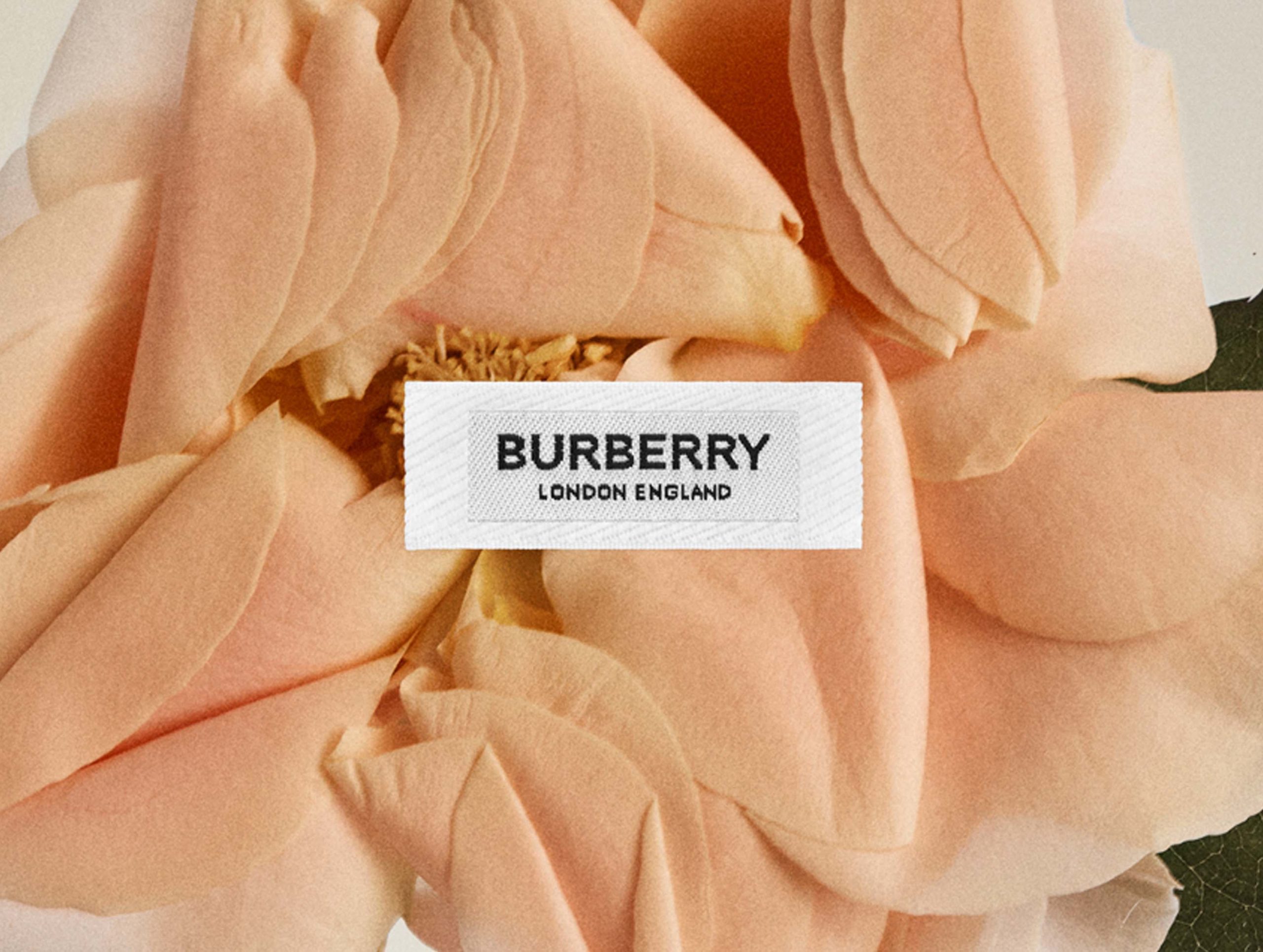 Burberry Autumn Winter 2020 - LIVE 