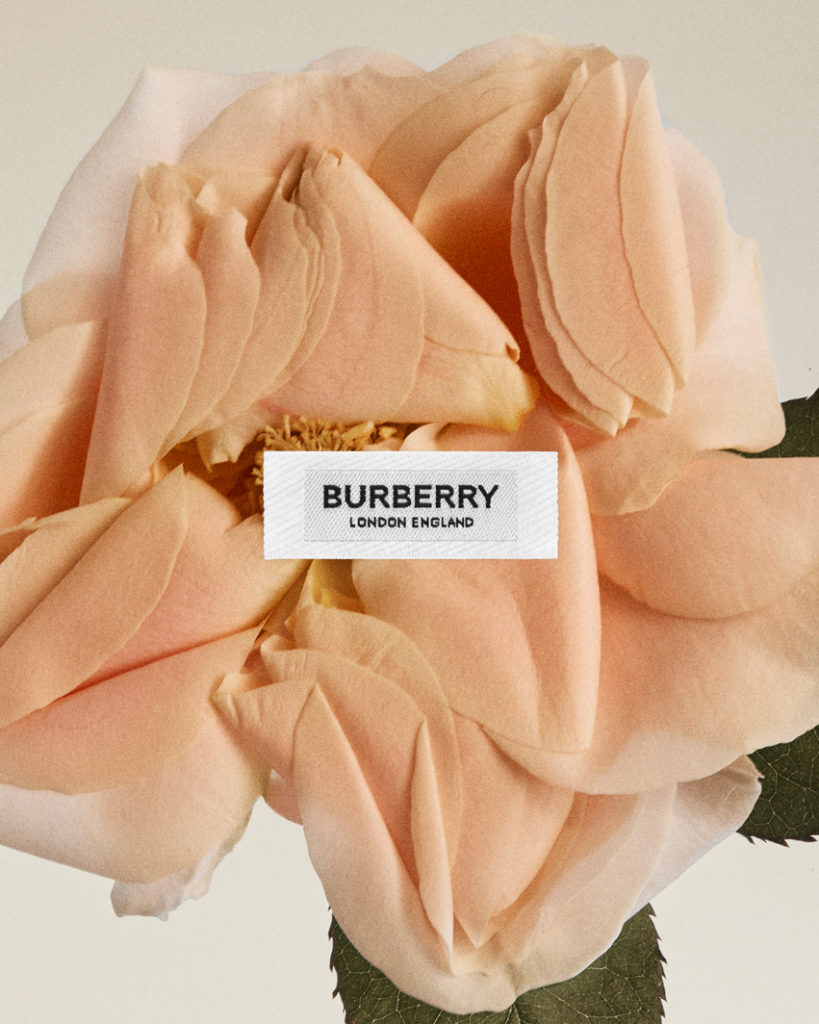 Burberry Autumn Winter 2020