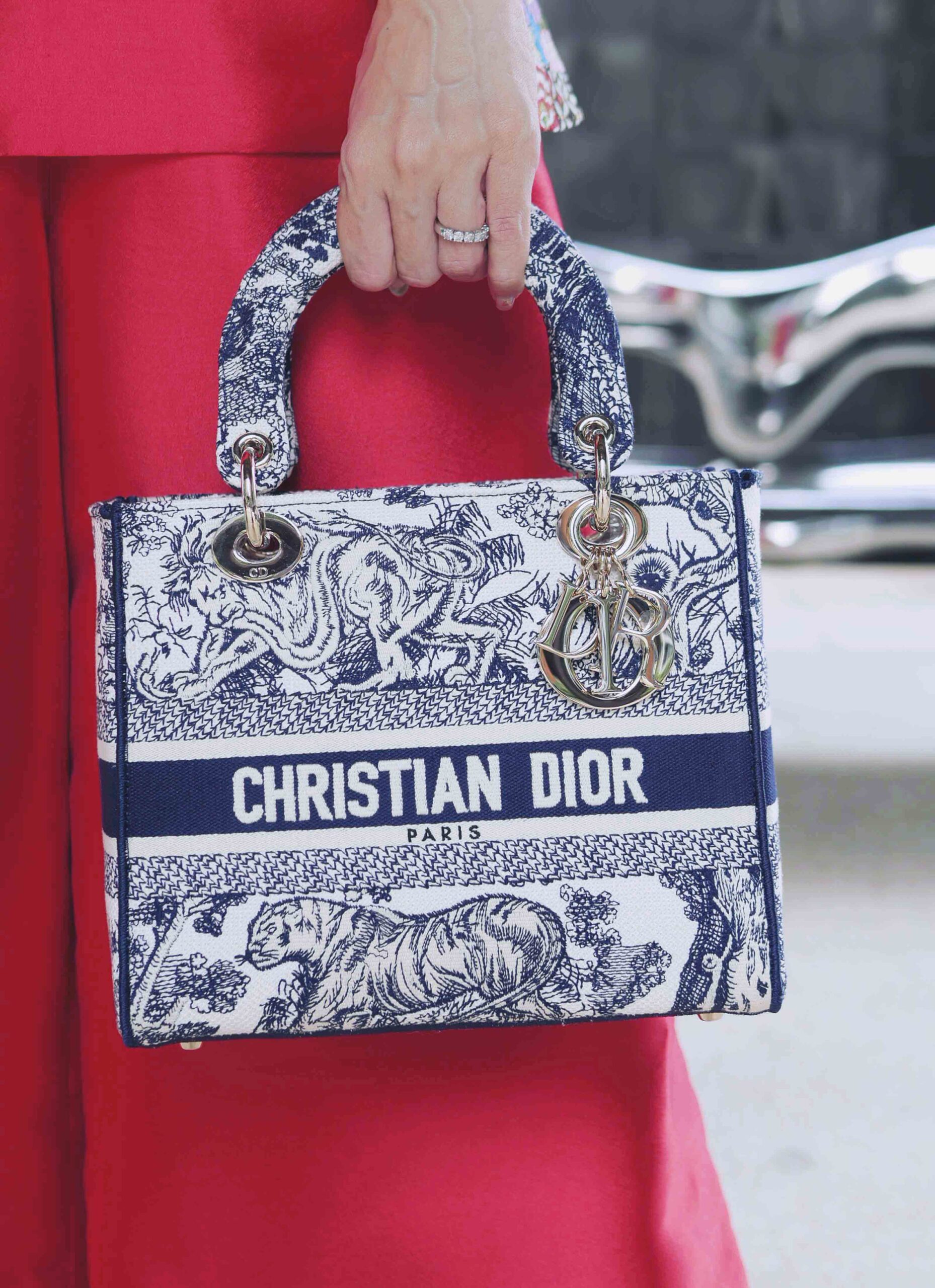 Lady Dior Cruise 2021