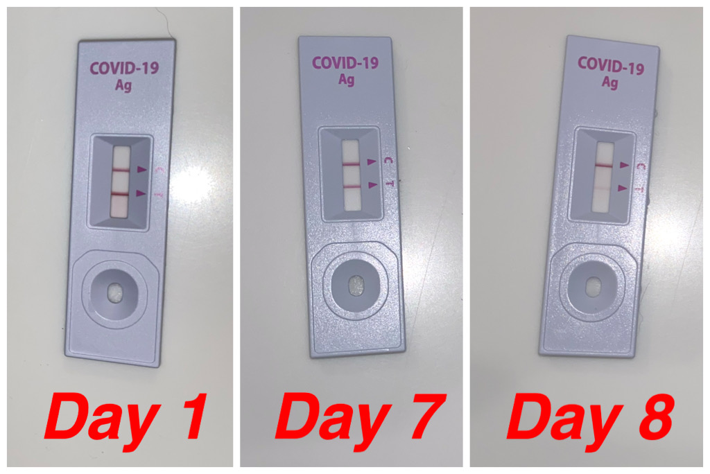 Day 1 to 8 Covid19 progress