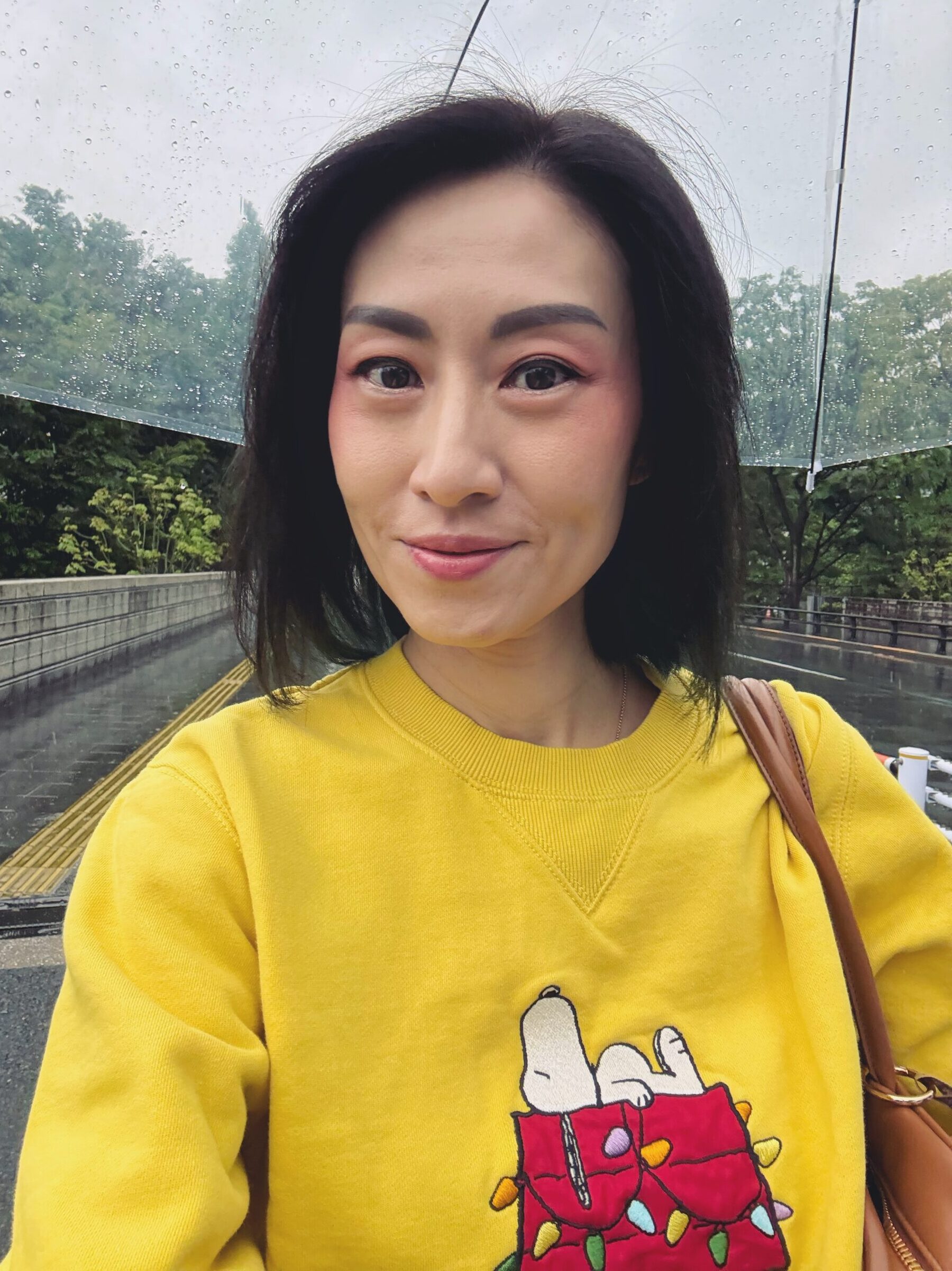 Why I decided to do DST?